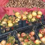 Apartamento Tuttifrutti Acireale