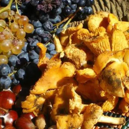 Tuttifrutti Apartamento *
